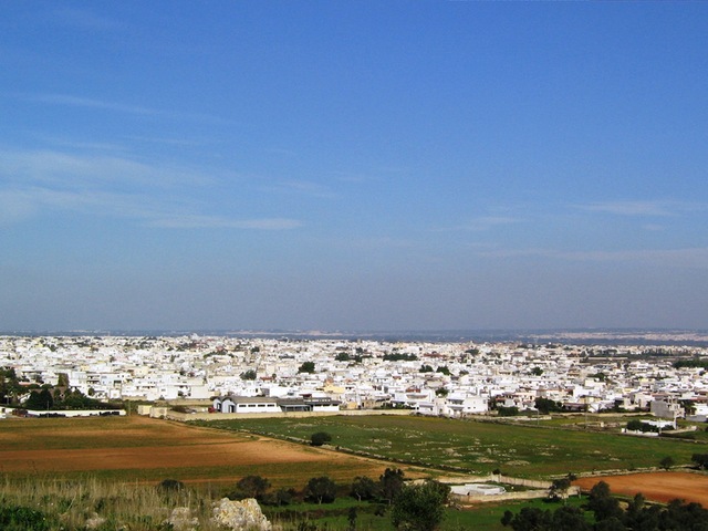 foto di Alliste Alliste