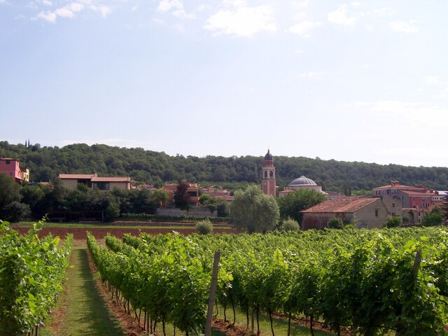 foto di Alonte Alonte