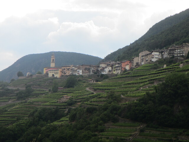 foto di Altavalle Altavalle