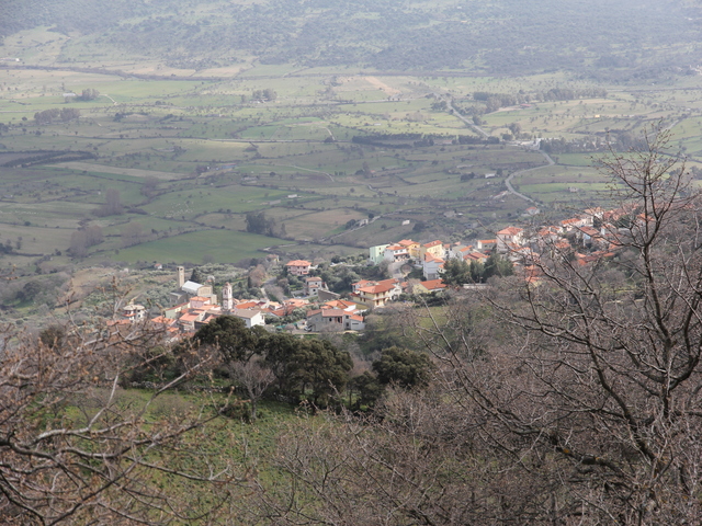 foto di Anela Anela