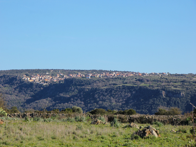 foto di Ardauli Ardauli