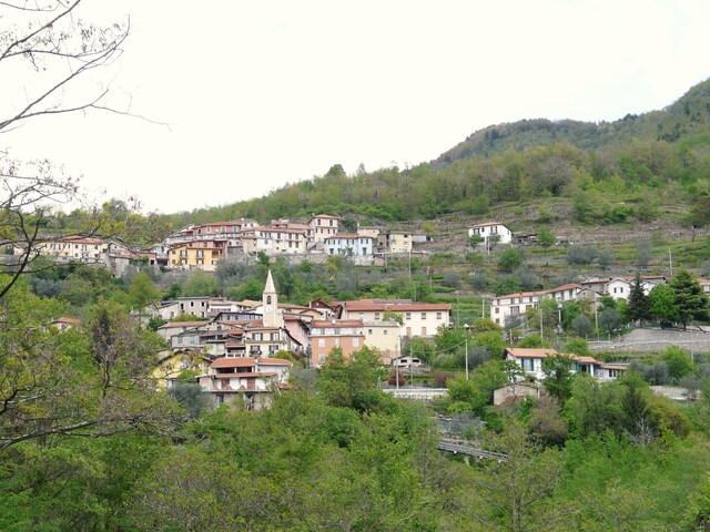 foto di Armo Armo