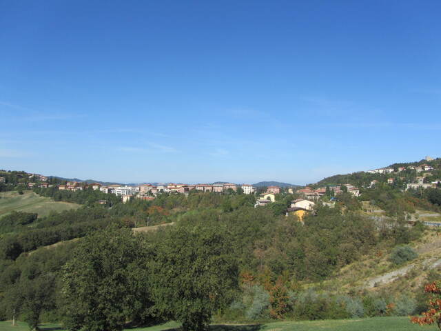 foto di Baiso Baiso