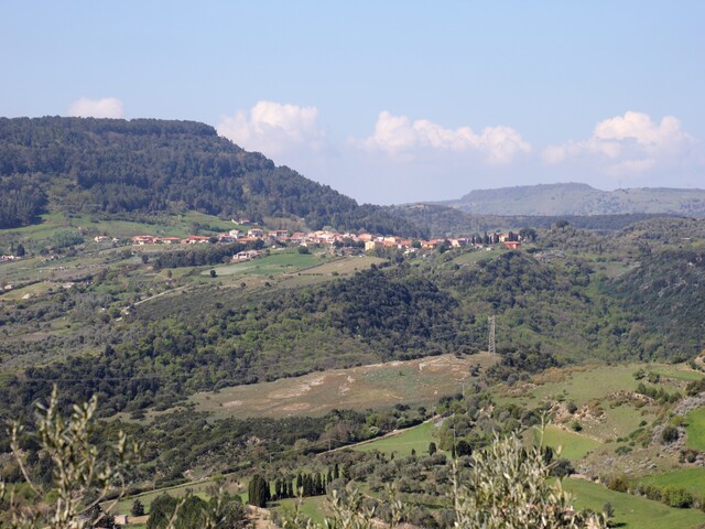 foto di Banari Banari