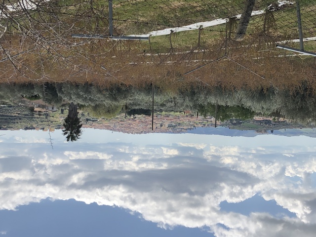 foto di Barrafranca Barrafranca