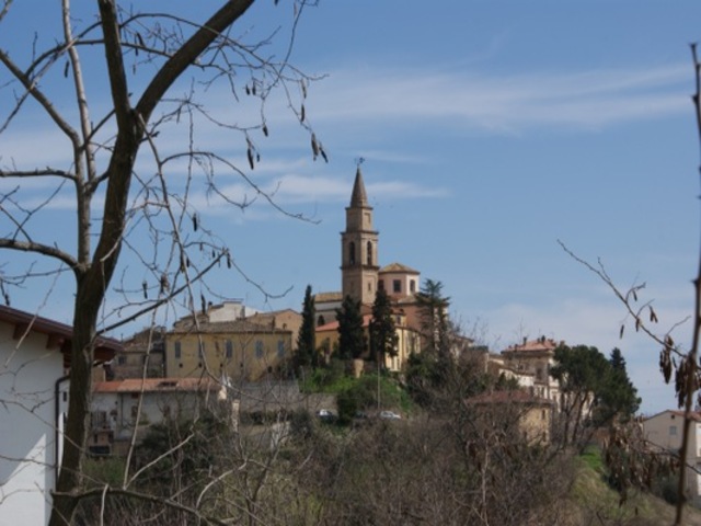 foto di Bellante Bellante