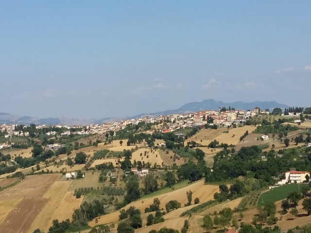 foto di Bonito Bonito