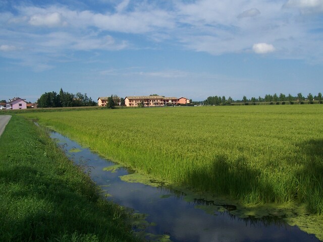 foto di Bornasco Bornasco