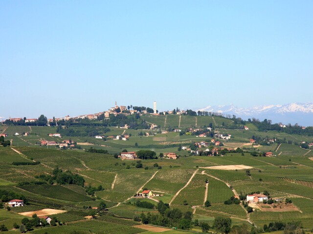 foto di Calosso Calosso