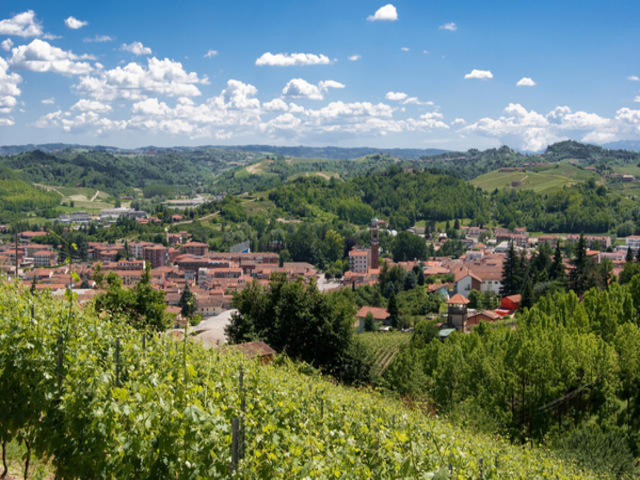 foto di Canale Canale