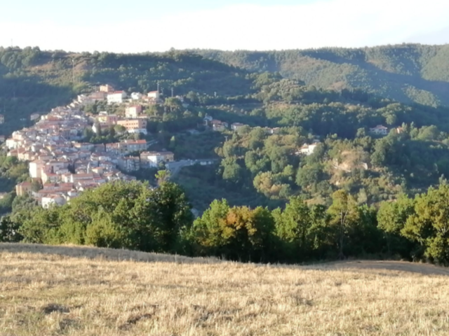 foto di Carbone Carbone