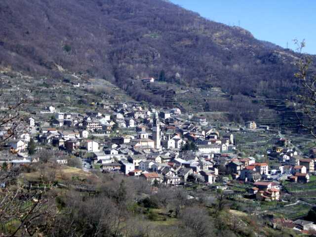 foto di Carema Carema