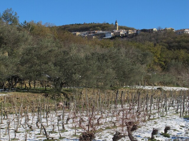 foto di Caresana Caresana