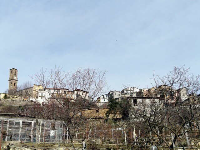 foto di Carpasio Carpasio