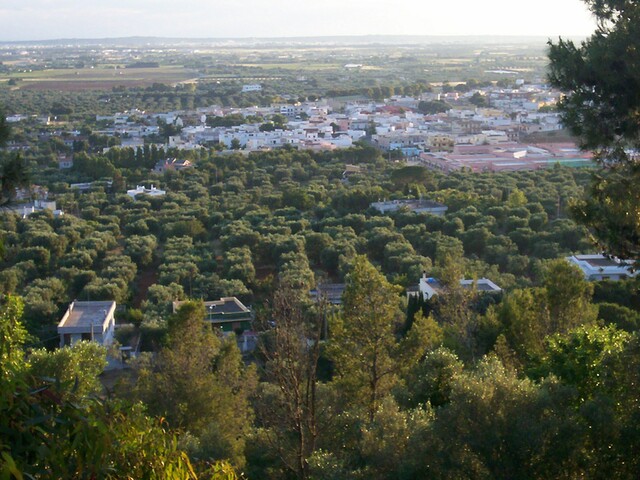 foto di Casarano Casarano