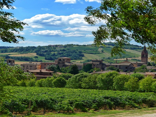 foto di Castelvetro di Modena Castelvetro di Modena