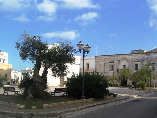 foto di Castrignano del Capo Castrignano del Capo