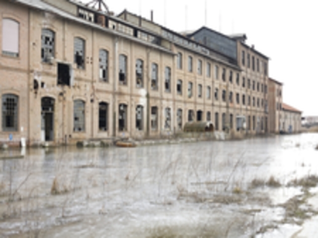 foto di Ceggia Ceggia