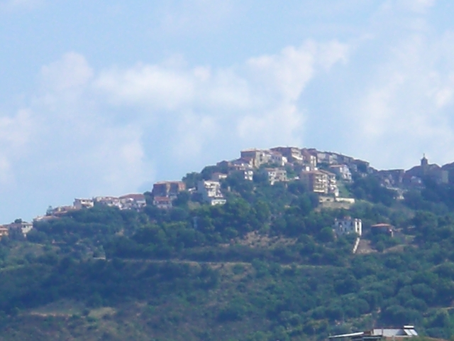 foto di Centola Centola
