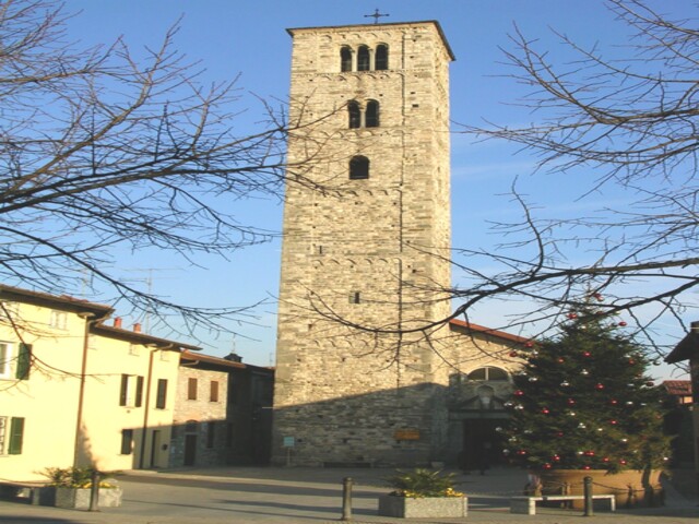 foto di Erba Erba
