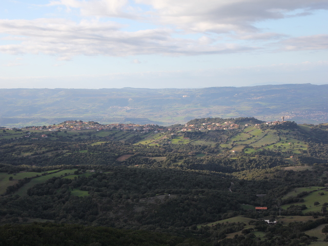 foto di Erula Erula