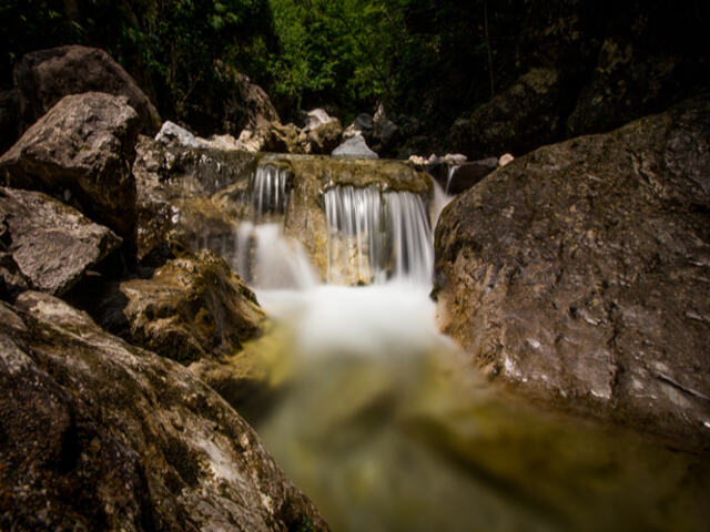 foto di Erve Erve