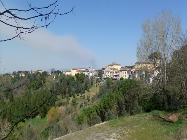 foto di Fauglia Fauglia