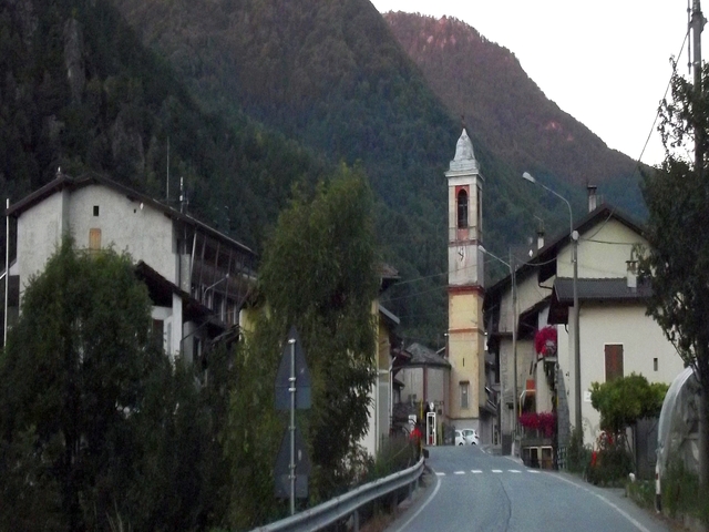 foto di Frassino Frassino
