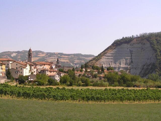 foto di Galeata Galeata