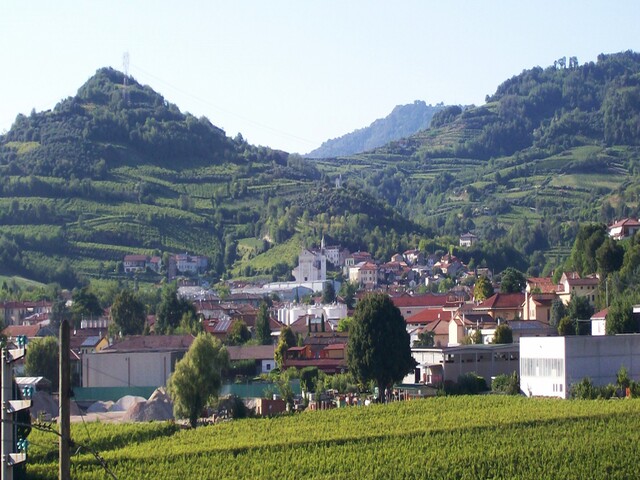 foto di Gambellara Gambellara