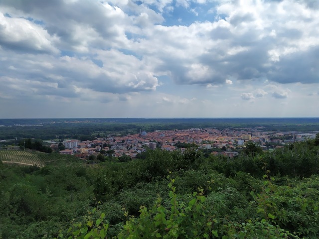 foto di Gattinara Gattinara