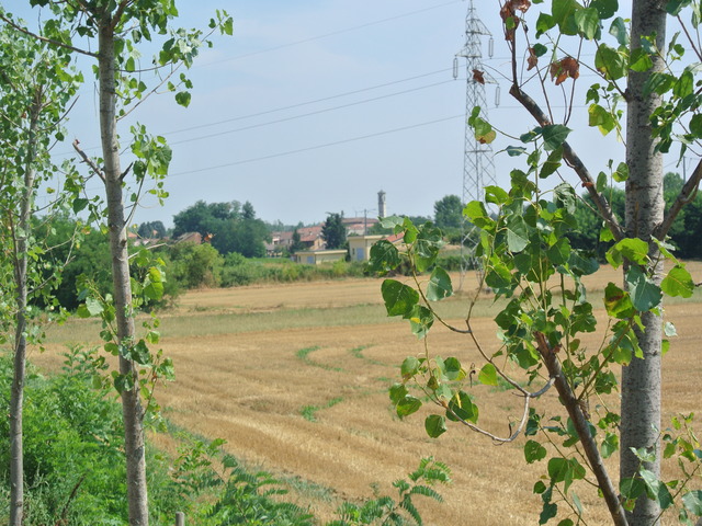 foto di Genzone Genzone