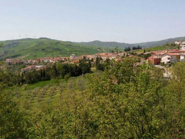 foto di Ginestra degli Schiavoni Ginestra degli Schiavoni