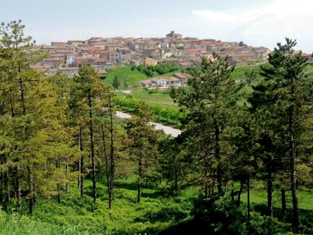 foto di Greci Greci
