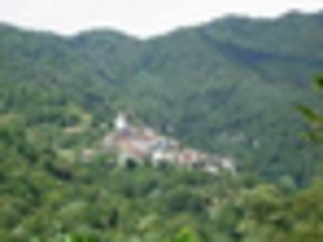 foto di Grimacco Grimacco