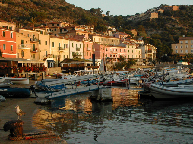foto di Isola del Giglio Isola del Giglio