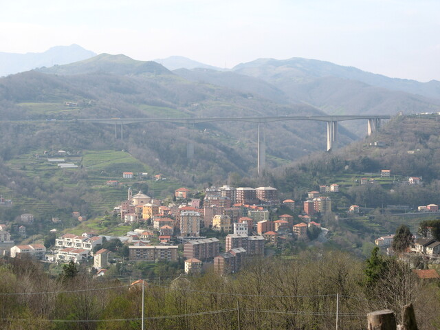 foto di Mele Mele
