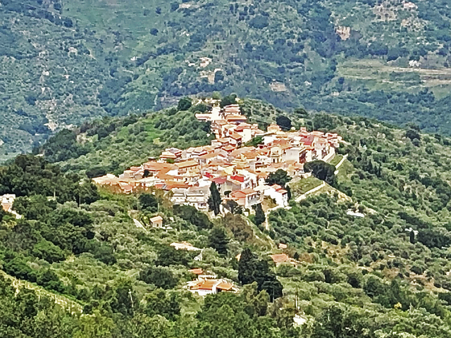 foto di Mirto Mirto