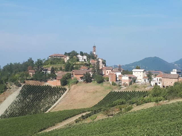 foto di Monleale Monleale