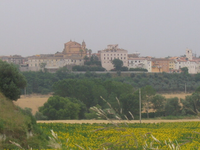 foto di Montalto di Castro Montalto di Castro