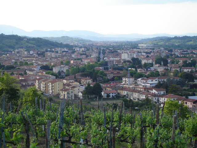 foto di Montevarchi Montevarchi