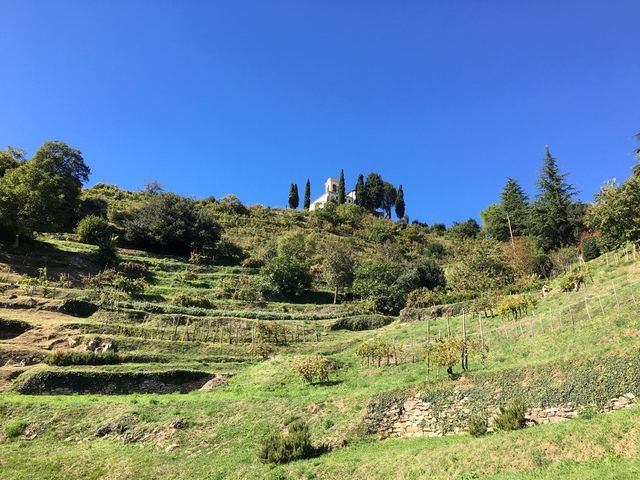 foto di Montevecchia Montevecchia