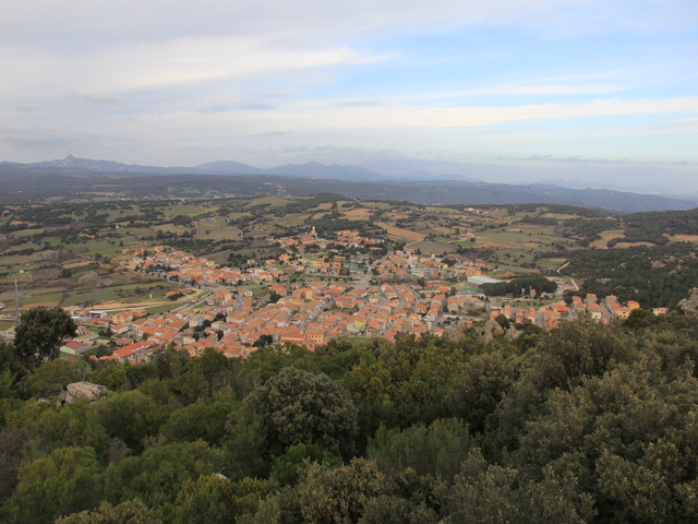 foto di Monti Monti