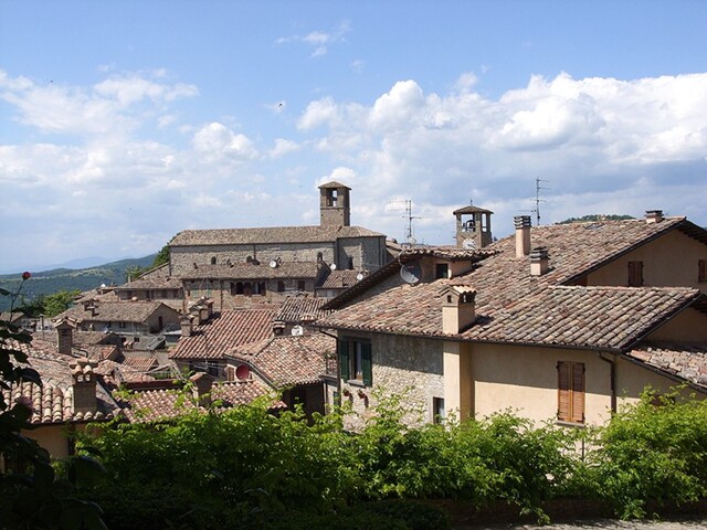 foto di Montone Montone