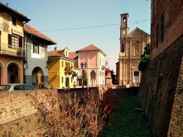 foto di Moretta Moretta