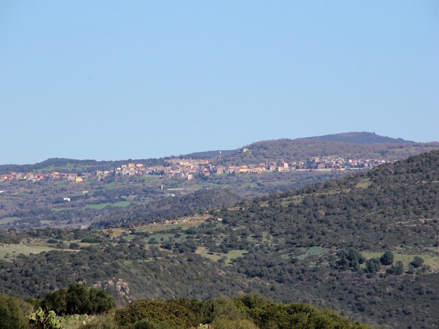foto di Neoneli Neoneli