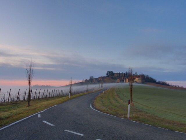 foto di Oliva Gessi Oliva Gessi