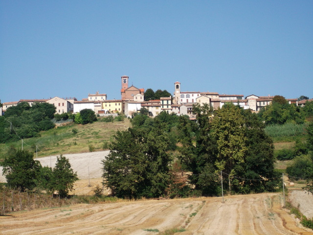 foto di Olivola Olivola
