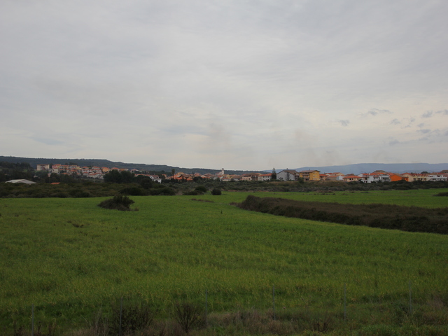 foto di Olmedo Olmedo