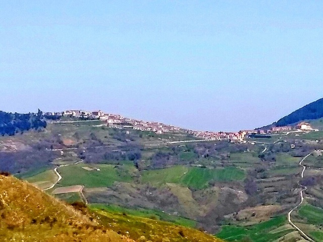 foto di Panni Panni